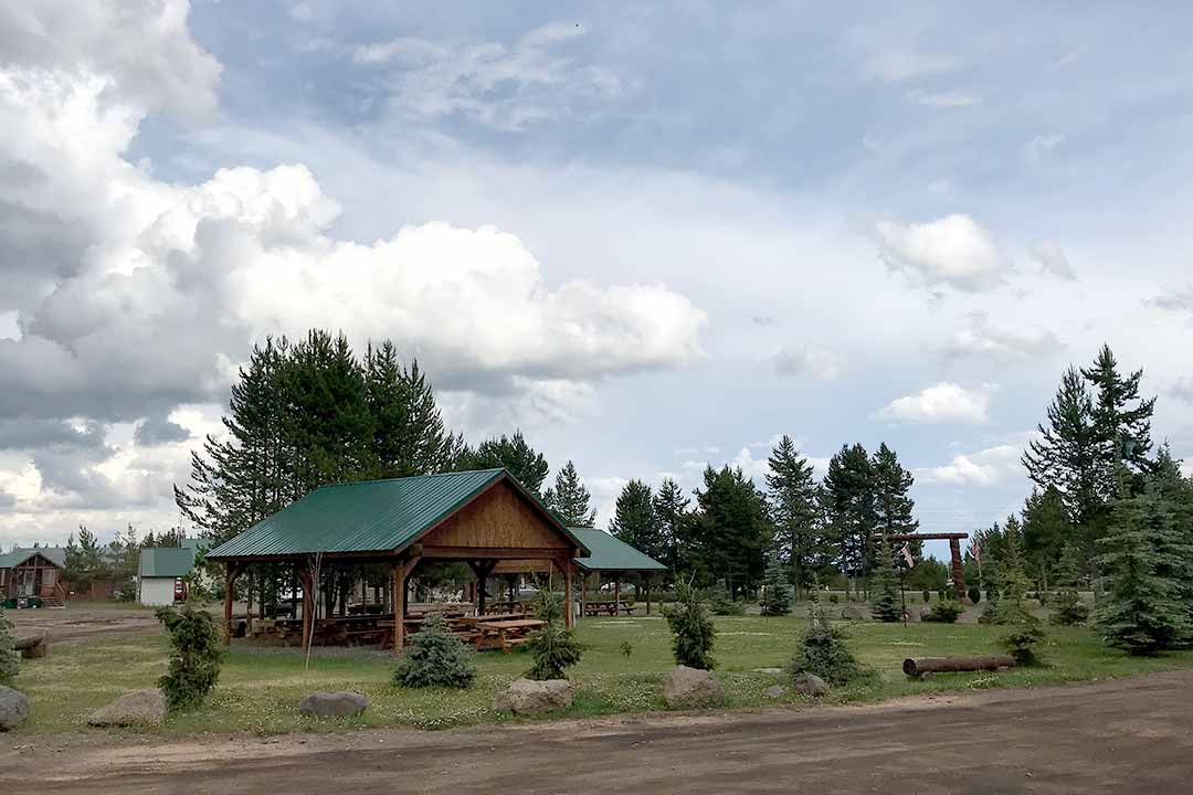 Covered picnic pavilion with green metal roof set among pine trees and open lawn at Yellowstone Lux