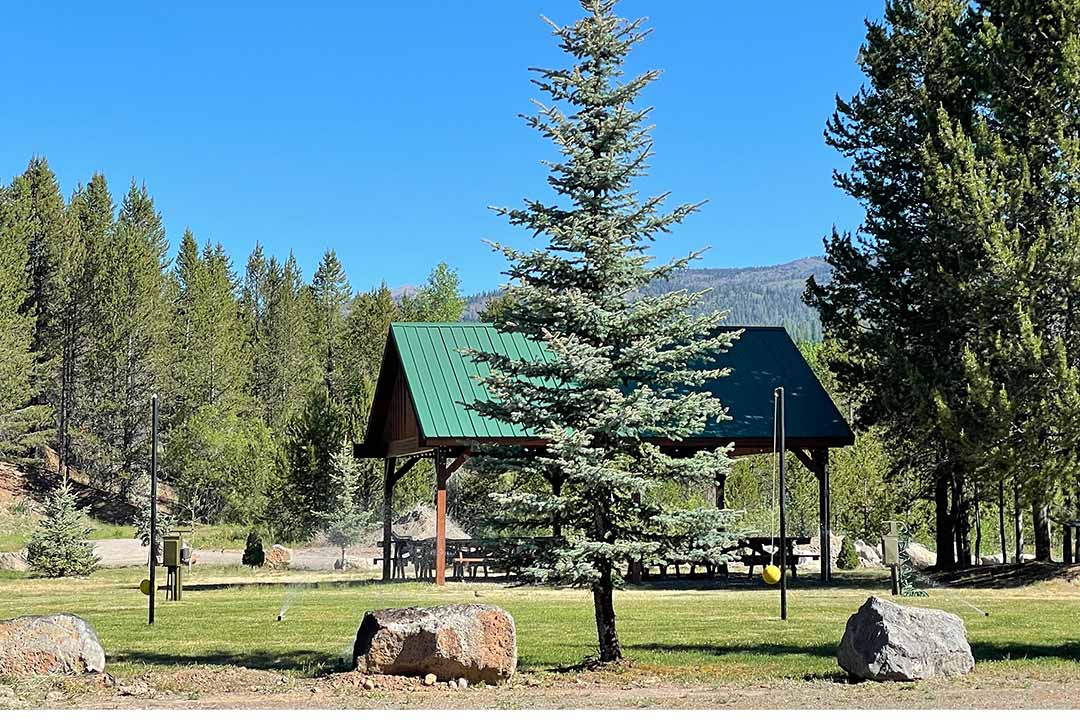Wooden picnic pavilion with green roof beneath a tall blue spruce, framed by mountains and forest beyond