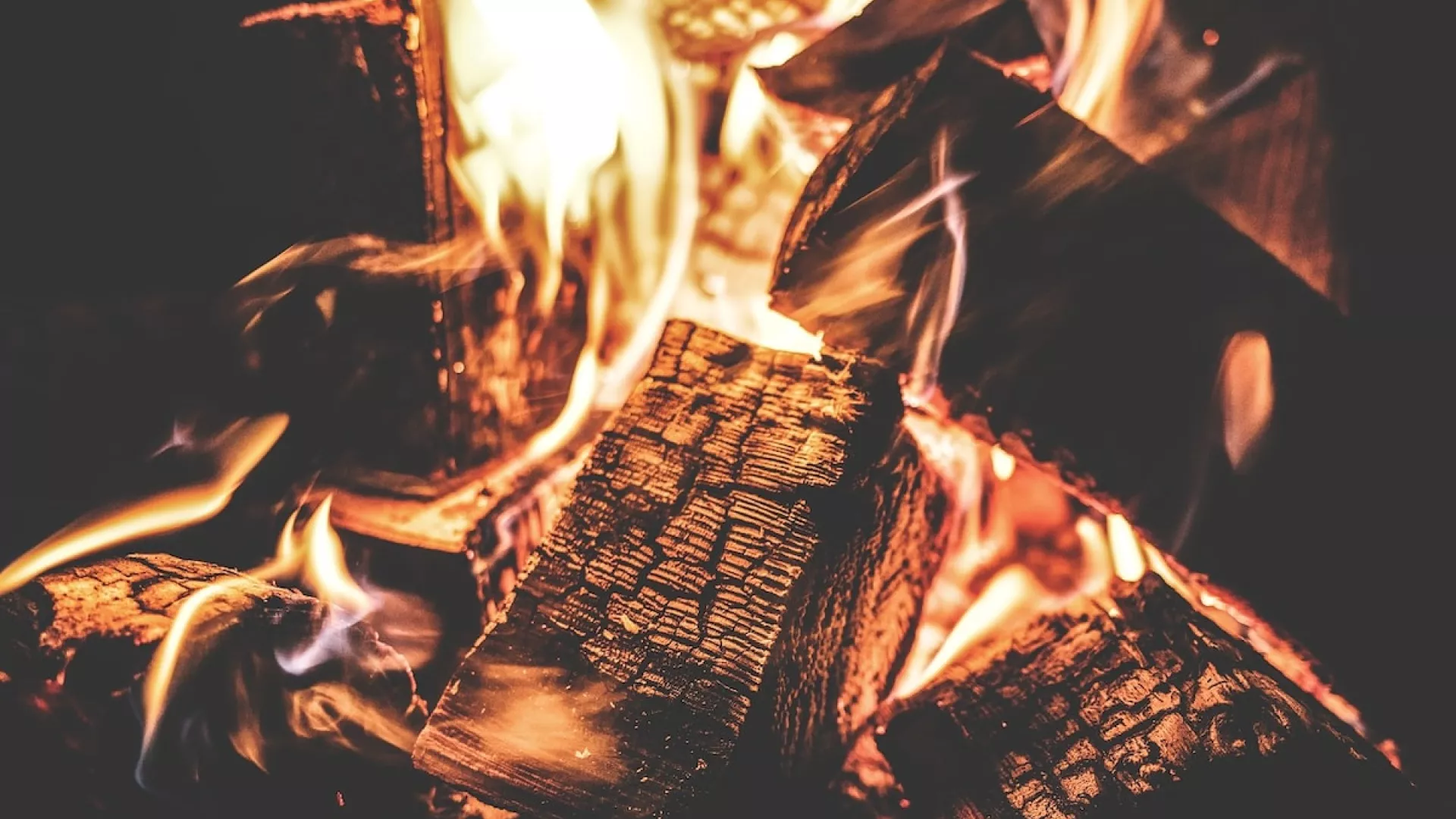 Bear Creek has a fire pit that allows you to roast that perfect marshmallows.