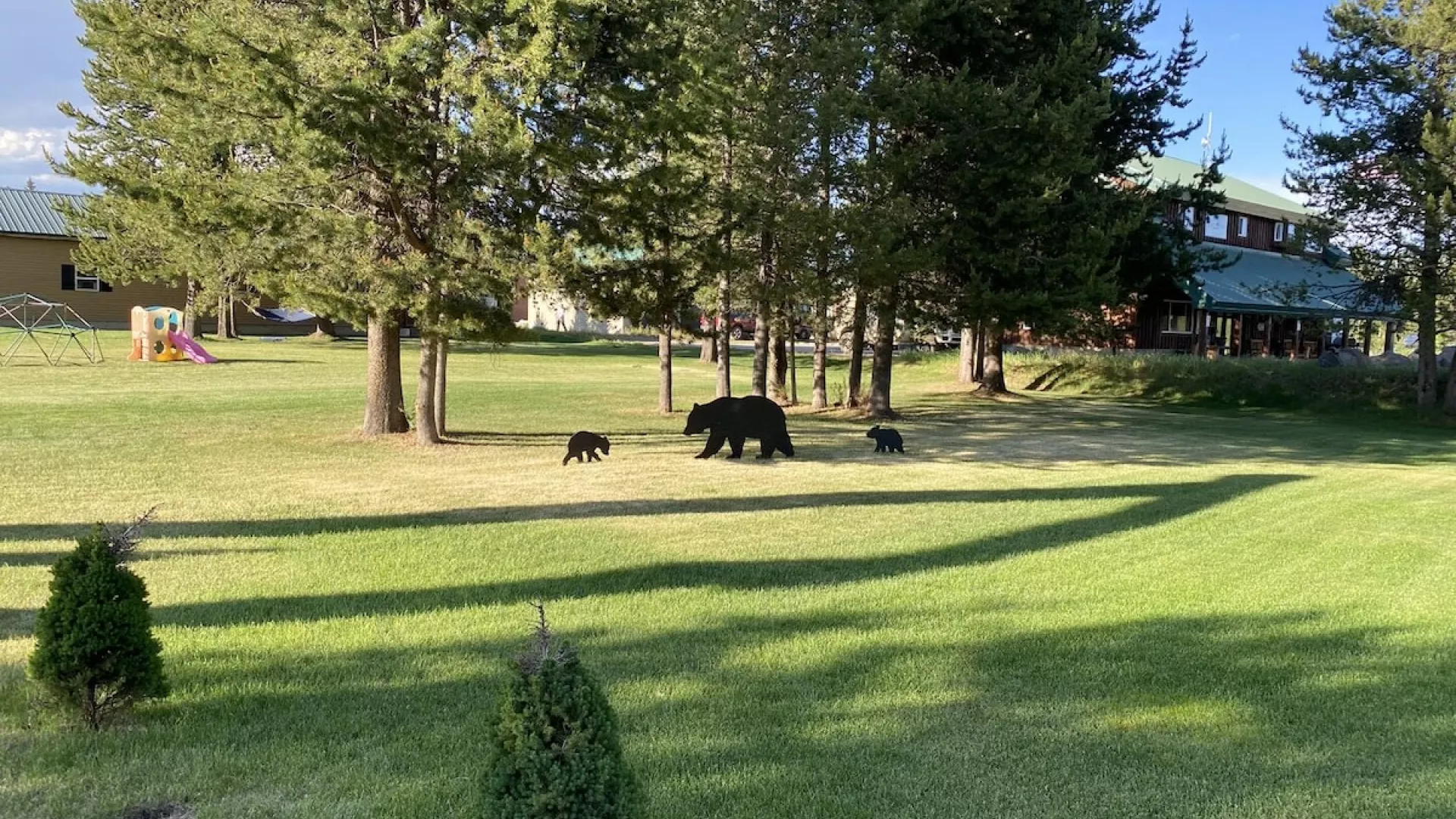 Large lawn located right next to the cabin to relax in the sun.