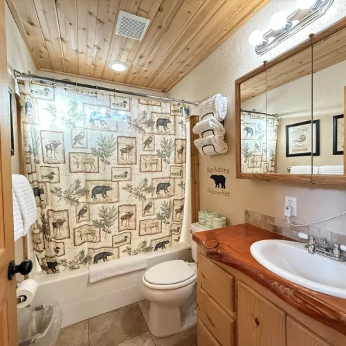 The shower is equipped with a shampoo, conditioner, and body wash for you to use.