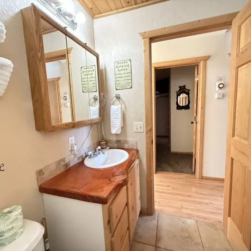 Downstairs bathroom with a shower tub combo, toilet, and sink vanity.