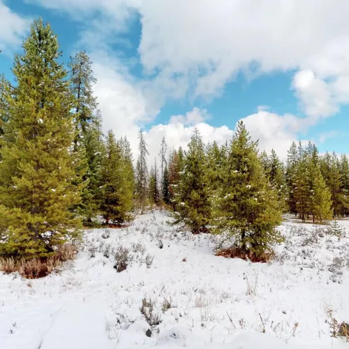 Enjoy the beautiful landscape of the cabin year round.