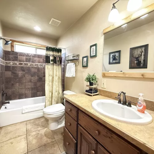 Main level bathroom with shower tub combo, toilet, and sink vanity. Bathroom is equipped with clean towels, toilet paper, shampoo, conditioner, and body wash.