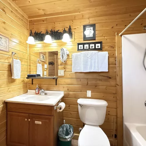 The main bathroom is equipped with a shower tub combo, toilet, and sink vanity.